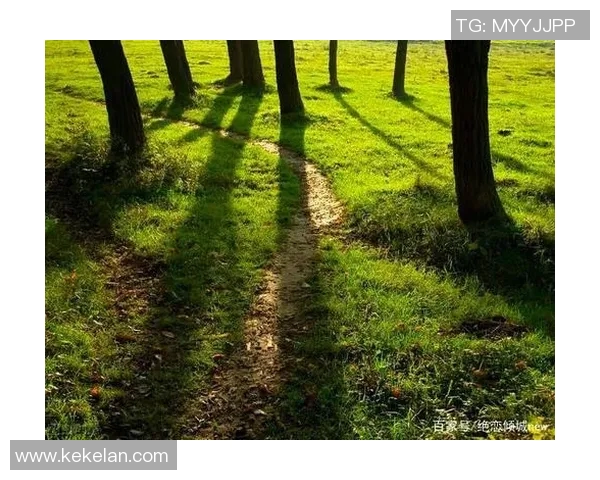 代怀博的成长之路：从平凡到卓越的奋斗故事与人生启示